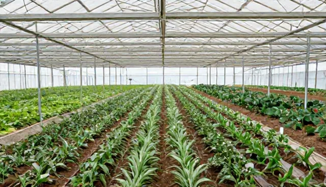技术优化在网站建设中的适用条件与限制